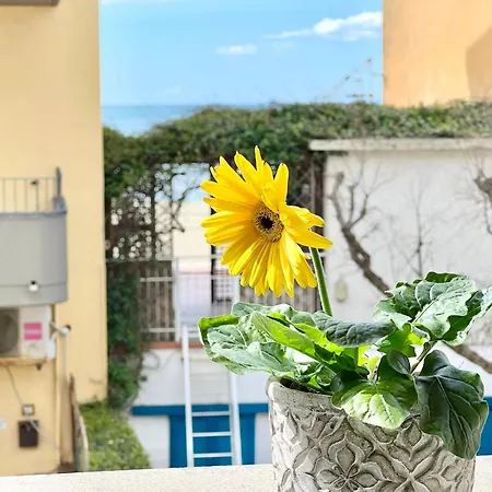 Mono Rosina, Aria Condizionata E Balcone A 50 Metri Dal Mare! By Alfareal Apartment *